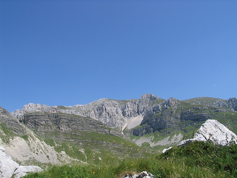 Original image